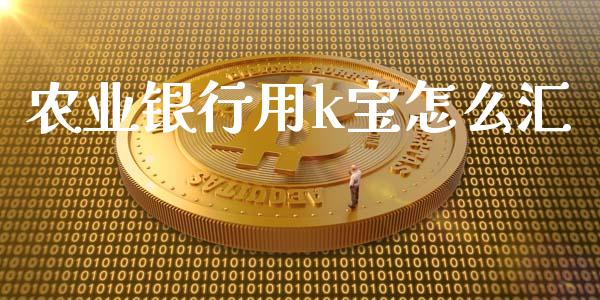 农业银行用k宝怎么汇_https://www.qmgjg.com_港股恒生指数_第1张
