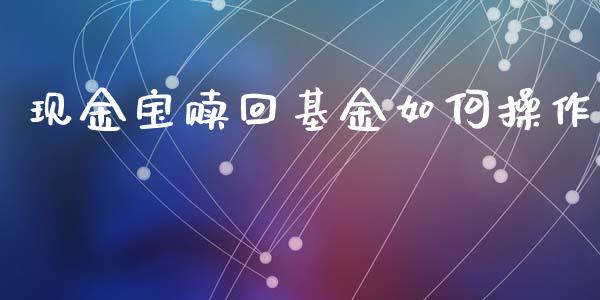 现金宝赎回基金如何操作_https://www.qmgjg.com_香港恒生指数_第1张