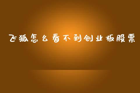 飞狐怎么看不到创业板股票_https://www.qmgjg.com_恒生指数期货_第1张