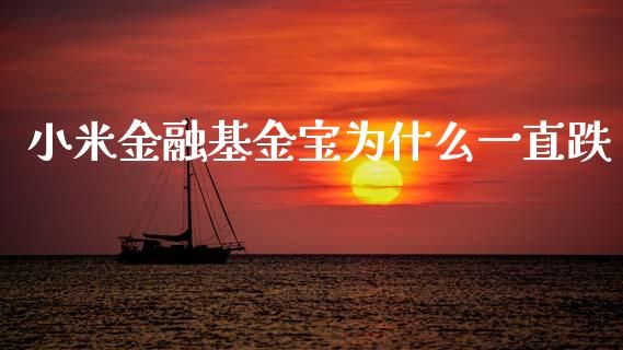 小米金融基金宝为什么一直跌_https://www.qmgjg.com_香港恒生指数_第1张