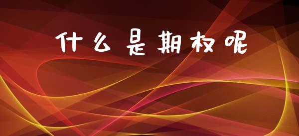 什么是期权呢_https://www.qmgjg.com_香港恒生指数_第1张