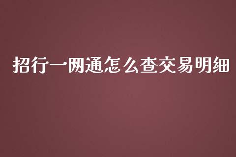 招行一网通怎么查交易明细_https://www.qmgjg.com_港股恒生指数_第1张