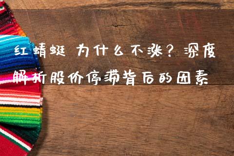 红蜻蜓 为什么不涨？深度解析股价停滞背后的因素_https://www.qmgjg.com_港股恒生指数_第1张
