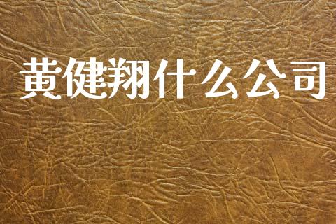 黄健翔什么公司_https://www.qmgjg.com_港股恒生指数_第1张