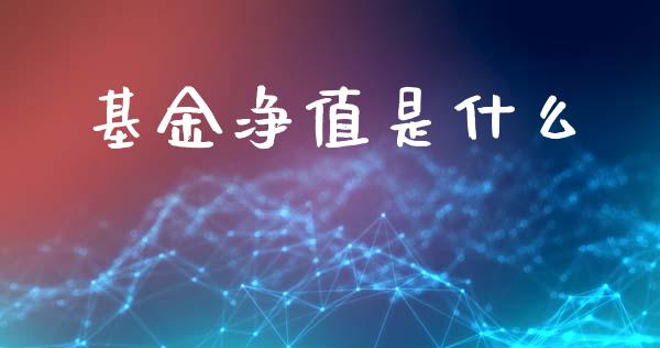 基金净值是什么_https://www.qmgjg.com_恒生指数期货_第1张