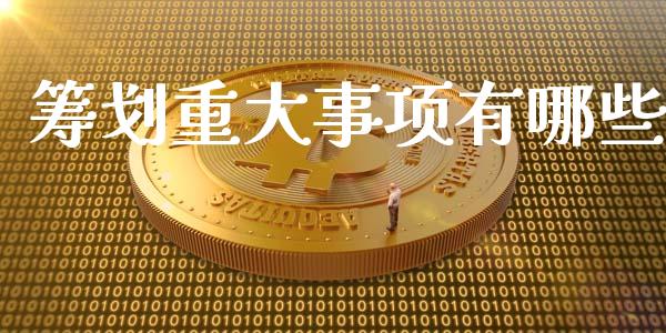 筹划重大事项有哪些_https://www.qmgjg.com_恒生指数期货_第1张