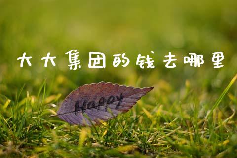 大大集团的钱去哪里_https://www.qmgjg.com_香港恒生指数_第1张