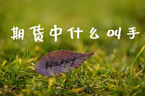 期货中什么叫手_https://www.qmgjg.com_香港恒生指数_第1张