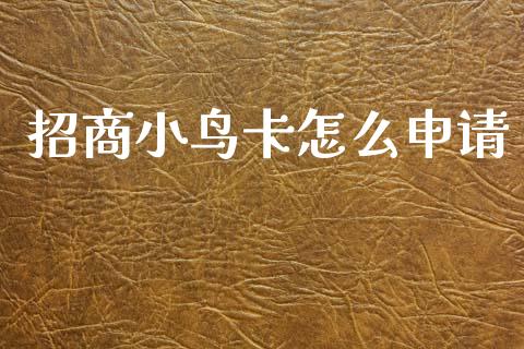 招商小鸟卡怎么申请_https://www.qmgjg.com_恒生指数期货_第1张
