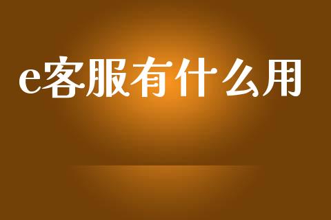 e客服有什么用_https://www.qmgjg.com_恒生指数是什么_第1张