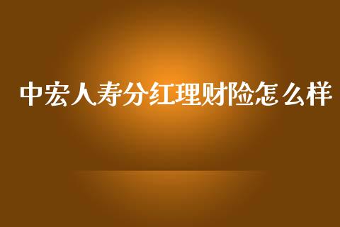 中宏人寿分红理财险怎么样_https://www.qmgjg.com_港股恒生指数_第1张