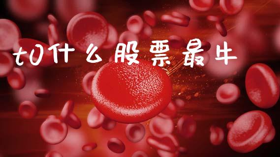 t0什么股票最牛_https://www.qmgjg.com_恒生指数是什么_第1张