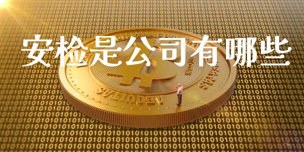 安检是公司有哪些_https://www.qmgjg.com_港股恒生指数_第1张