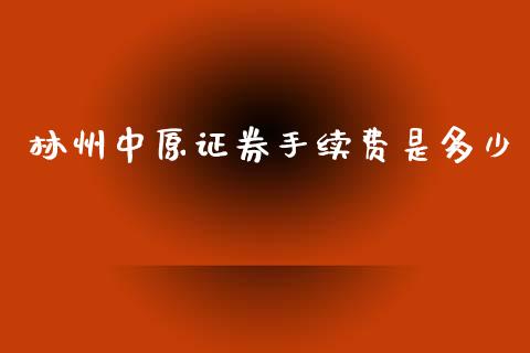 林州中原证券手续费是多少_https://www.qmgjg.com_港股恒生指数_第1张