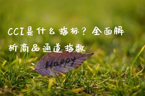 CCI是什么指标？全面解析商品通道指数_https://www.qmgjg.com_港股恒生指数_第1张