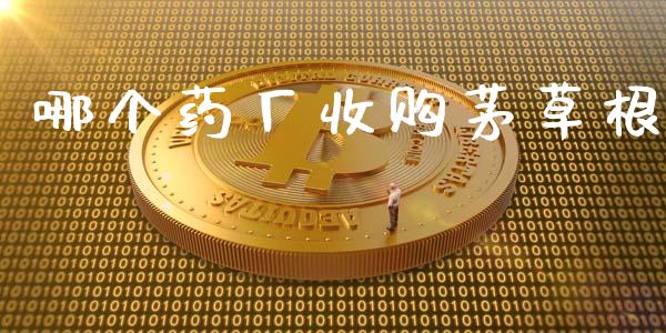 哪个药厂收购茅草根_https://www.qmgjg.com_香港恒生指数_第1张