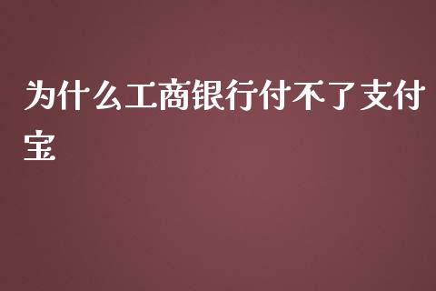 为什么工商银行付不了支付宝_https://www.qmgjg.com_恒生指数期货_第1张