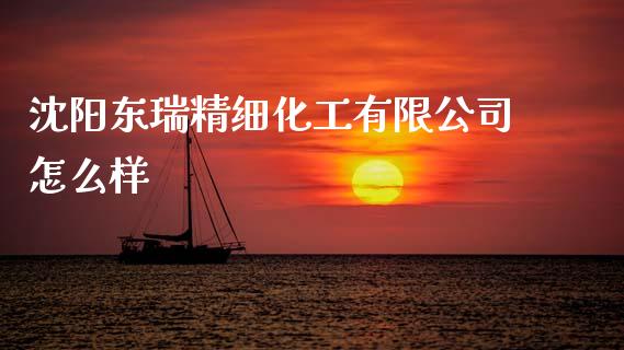 沈阳东瑞精细化工有限公司怎么样_https://www.qmgjg.com_恒生指数期货_第1张