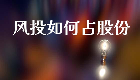 风投如何占股份_https://www.qmgjg.com_香港恒生指数_第1张