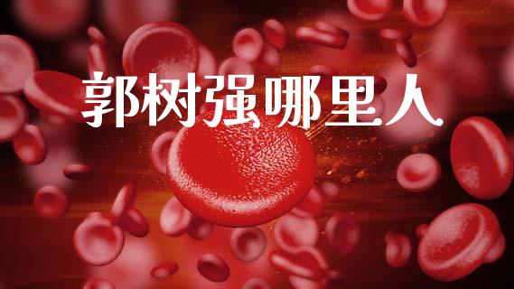 郭树强哪里人_https://www.qmgjg.com_港股恒生指数_第1张