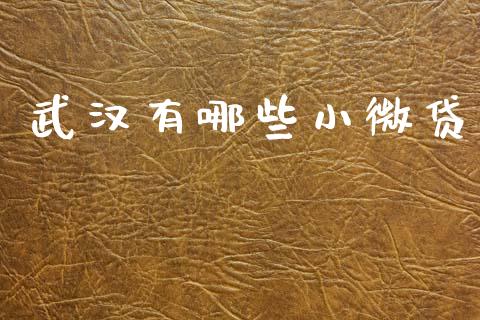 武汉有哪些小微贷_https://www.qmgjg.com_恒生指数期货_第1张
