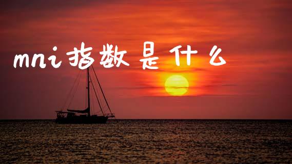 mni指数是什么_https://www.qmgjg.com_恒生指数是什么_第1张