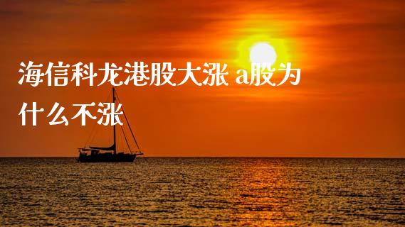海信科龙港股大涨 a股为什么不涨_https://www.qmgjg.com_恒生指数期货_第1张