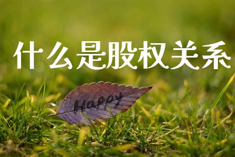 什么是股权关系_https://www.qmgjg.com_恒生指数期货_第1张