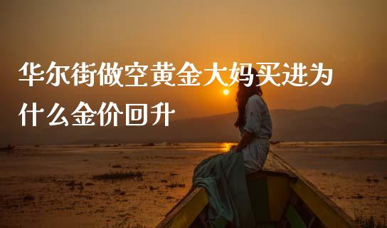 华尔街做空黄金大妈买进为什么金价回升_https://www.qmgjg.com_恒生指数期货_第1张