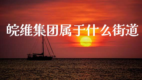 皖维集团属于什么街道_https://www.qmgjg.com_恒生指数期货_第1张