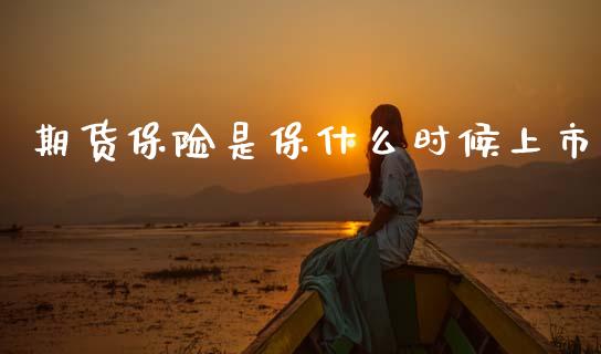 期货保险是保什么时候上市_https://www.qmgjg.com_香港恒生指数_第1张
