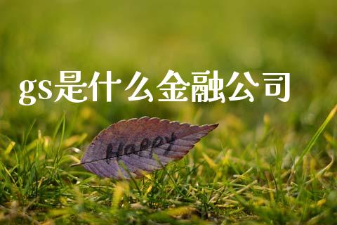 gs是什么金融公司_https://www.qmgjg.com_香港恒生指数_第1张