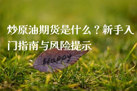 炒原油期货是什么？新手入门指南与风险提示_https://www.qmgjg.com_恒生指数是什么_第1张