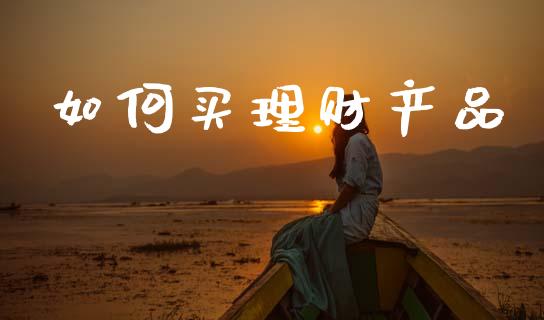 如何买理财产品_https://www.qmgjg.com_香港恒生指数_第1张