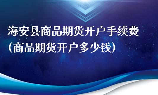 海安县商品期货开户手续费(商品期货开户多少钱)_https://www.qmgjg.com_香港恒生指数_第1张