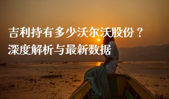 吉利持有多少沃尔沃股份？深度解析与最新数据_https://www.qmgjg.com_恒生指数期货_第1张