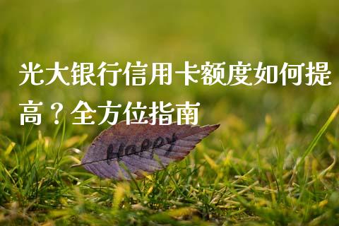 光大银行信用卡额度如何提高？全方位指南_https://www.qmgjg.com_香港恒生指数_第1张