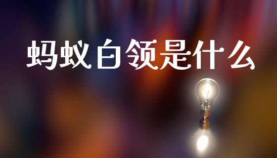 蚂蚁白领是什么_https://www.qmgjg.com_香港恒生指数_第1张