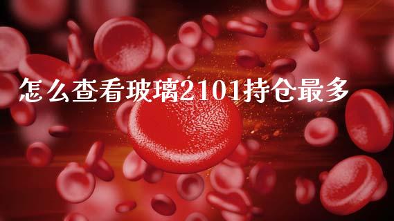 怎么查看玻璃2101持仓最多_https://www.qmgjg.com_恒生指数是什么_第1张