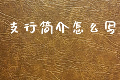 支行简介怎么写_https://www.qmgjg.com_恒生指数是什么_第1张