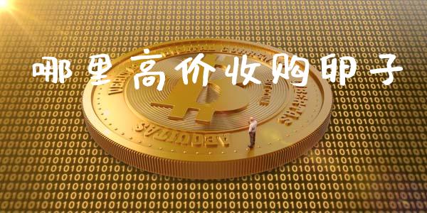 哪里高价收购卵子_https://www.qmgjg.com_恒生指数期货_第1张