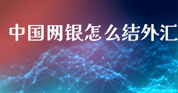 中国网银怎么结外汇_https://www.qmgjg.com_恒生指数期货_第1张