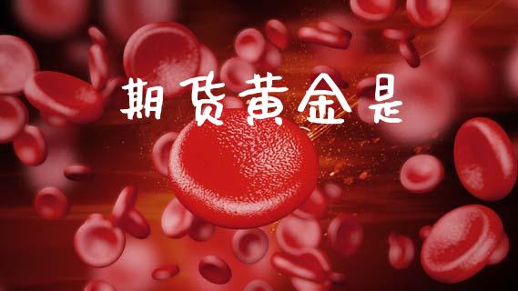 期货黄金是_https://www.qmgjg.com_恒生指数是什么_第1张