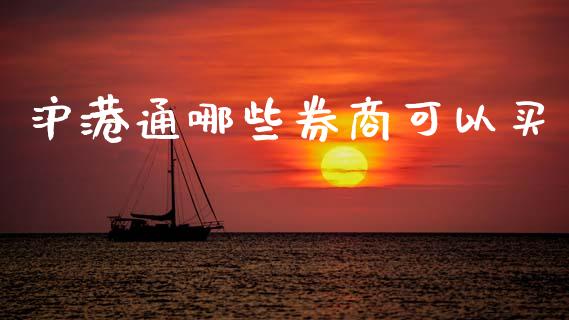 沪港通哪些券商可以买_https://www.qmgjg.com_港股恒生指数_第1张