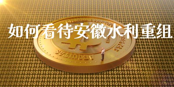 如何看待安徽水利重组_https://www.qmgjg.com_恒生指数是什么_第1张
