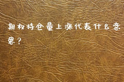 期权持仓量上涨代表什么意思？_https://www.qmgjg.com_恒生指数期货_第1张