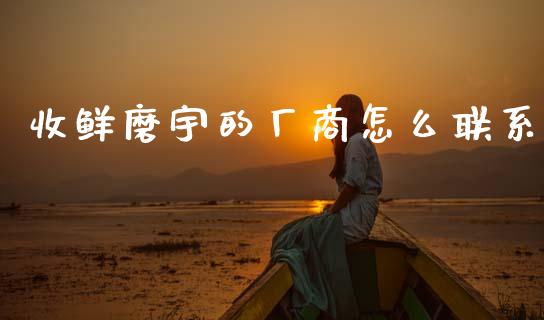 收鲜磨宇的厂商怎么联系_https://www.qmgjg.com_恒生指数期货_第1张