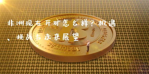 非洲现在开矿怎么样？机遇、挑战与未来展望_https://www.qmgjg.com_恒生指数期货_第1张