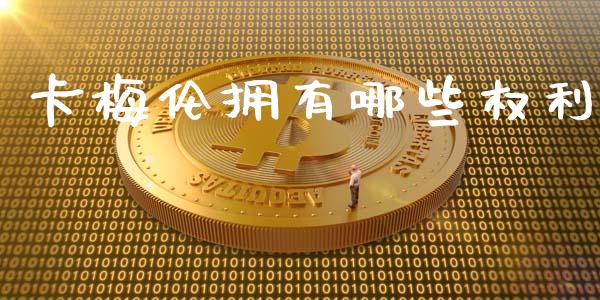 卡梅伦拥有哪些权利_https://www.qmgjg.com_恒生指数是什么_第1张