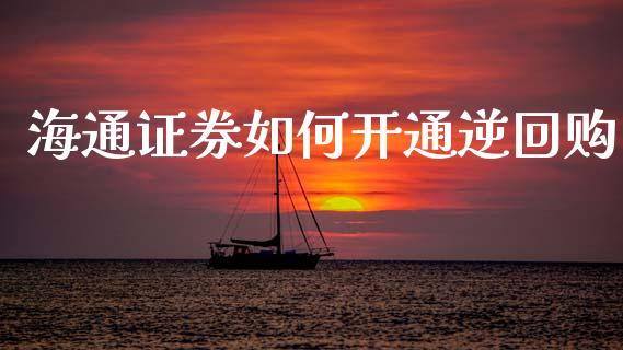 海通证券如何开通逆回购_https://www.qmgjg.com_恒生指数是什么_第1张